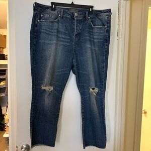 Torrid Jeans